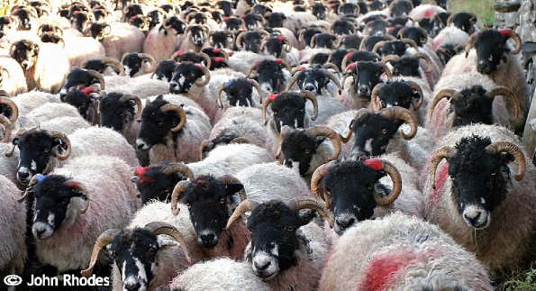  Horton in Ribblesdale